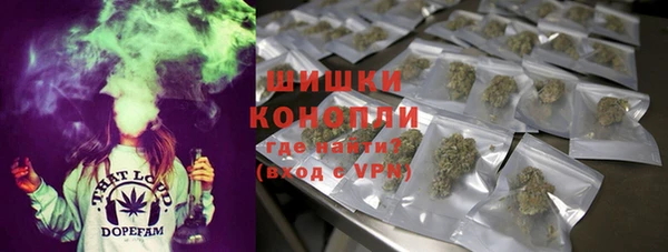 дурь Пересвет