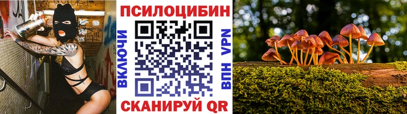 наркотики  Поворино  Псилоцибиновые грибы Magic Shrooms 